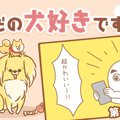 ただの犬好きです。…