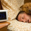 犬が飼い主の頭の上…