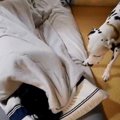 何が何でも起こした…