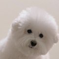 待ち伏せ方の癖が強…