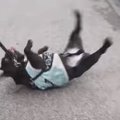 ヤダ！絶対ヤダー！…