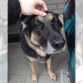ヌッシの引き留め成…