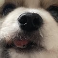 おやつを無くしてし…