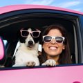 犬との旅行あるある…