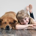 怯えている犬への対…