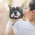 犬を飼うとできなく…