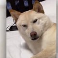 【話題】初めてお布…