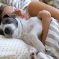 犬と『一緒に眠る』…