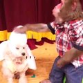 犬猿の仲を解消！？…