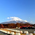 犬と車で旅行すると…