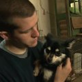 米国南部の子犬工場…