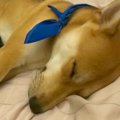 お父さんが体調不良…