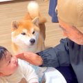 犬と赤ちゃんがいる…