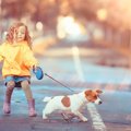 犬のお散歩トラブル…