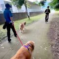 『居るはずのないお…