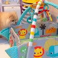 赤ちゃんのために『…