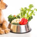 犬が食べていい野菜…