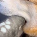 病院で診察待ちをす…