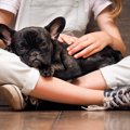 なぜ？犬が人のヒザ…