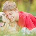 ティーンの悩みを犬…