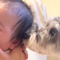 赤ちゃんが生まれた…