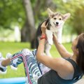 愛犬と長く一緒にい…