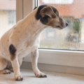 梅雨の時期に気をつ…