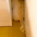 生まれて初めて『イ…