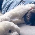 母が『大きな声で息…