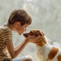 犬が人を鼻で「ツン…