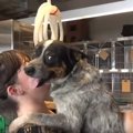 素直に保護されてく…