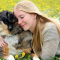 愛犬への過保護レベ…