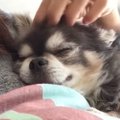 可愛すぎる♡とっても…