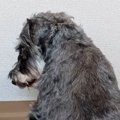 5年以上、外の世界を…