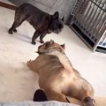 変な体勢でベッドか…
