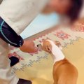 2年前に犬と仲良くな…