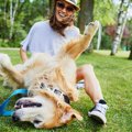 犬が飼い主の前で転…