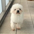 『外の世界を知らな…