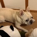 『夜な夜な怒るのは…