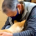 介護が必要な犬が『…
