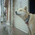 梅雨の時期の室内で…