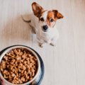 犬の体調不良を招く…