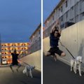 犬より散歩を楽しむ…