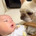 赤ちゃんと初めて顔…