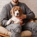 小型犬と一緒にいる…
