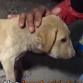 アゴの下が腫れてご…