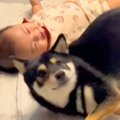 洗い物をしていたら…