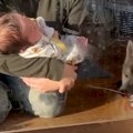 赤ちゃんと一緒に親…