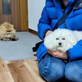 おばあちゃんの家に…