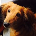 一人暮らしの方必見…